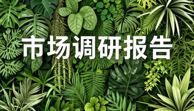 品牌维护中的关键策略与执行要点